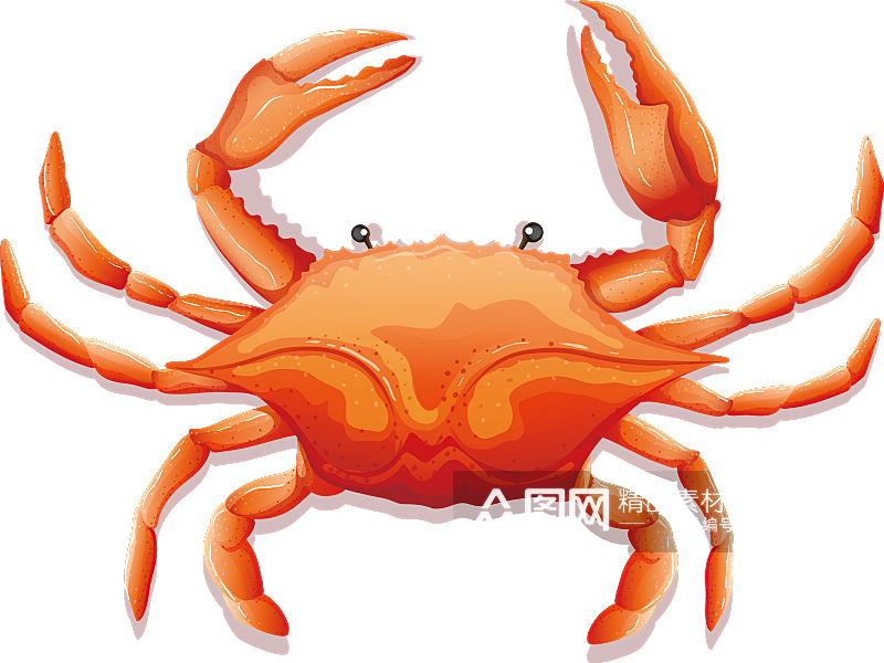 手绘深海动物海鲜鱼类螃蟹虾食物插画元素素材