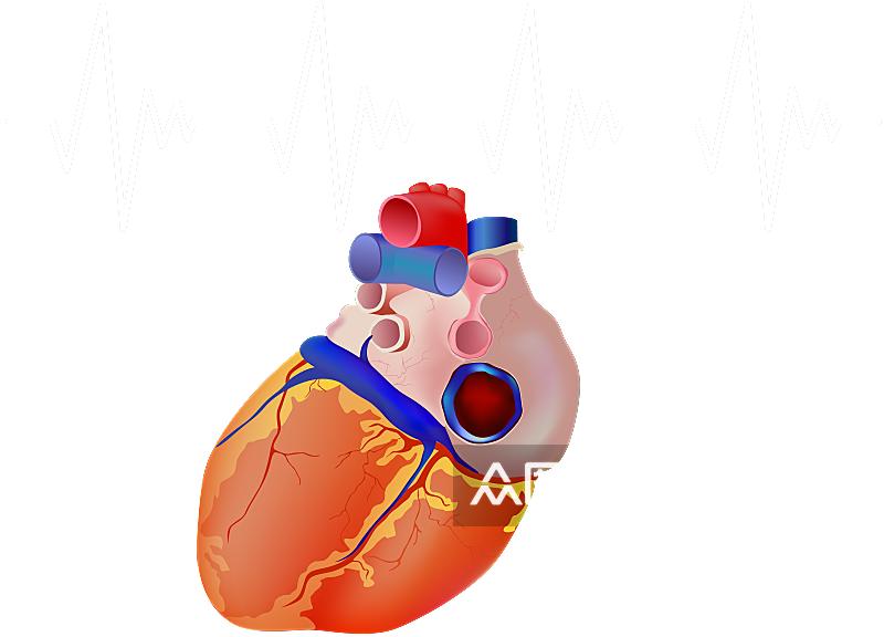 手绘医学人体器官肾脏肝脏心脏内脏素材素材