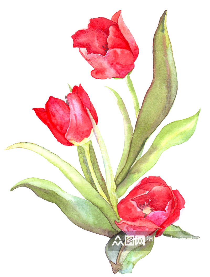 卡通手绘郁金香花朵花卉背景PNG免抠素材