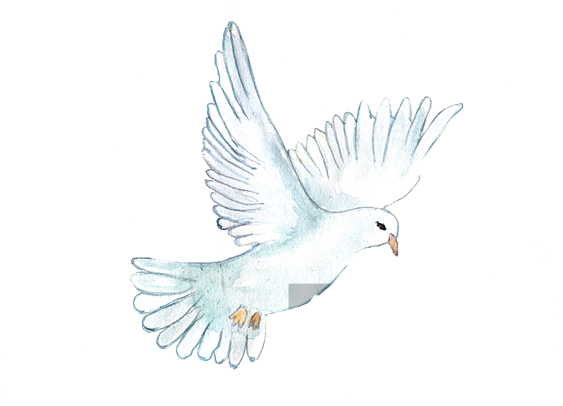 卡通和平信鸽飞翔插图PGN手绘白鸽素材素材