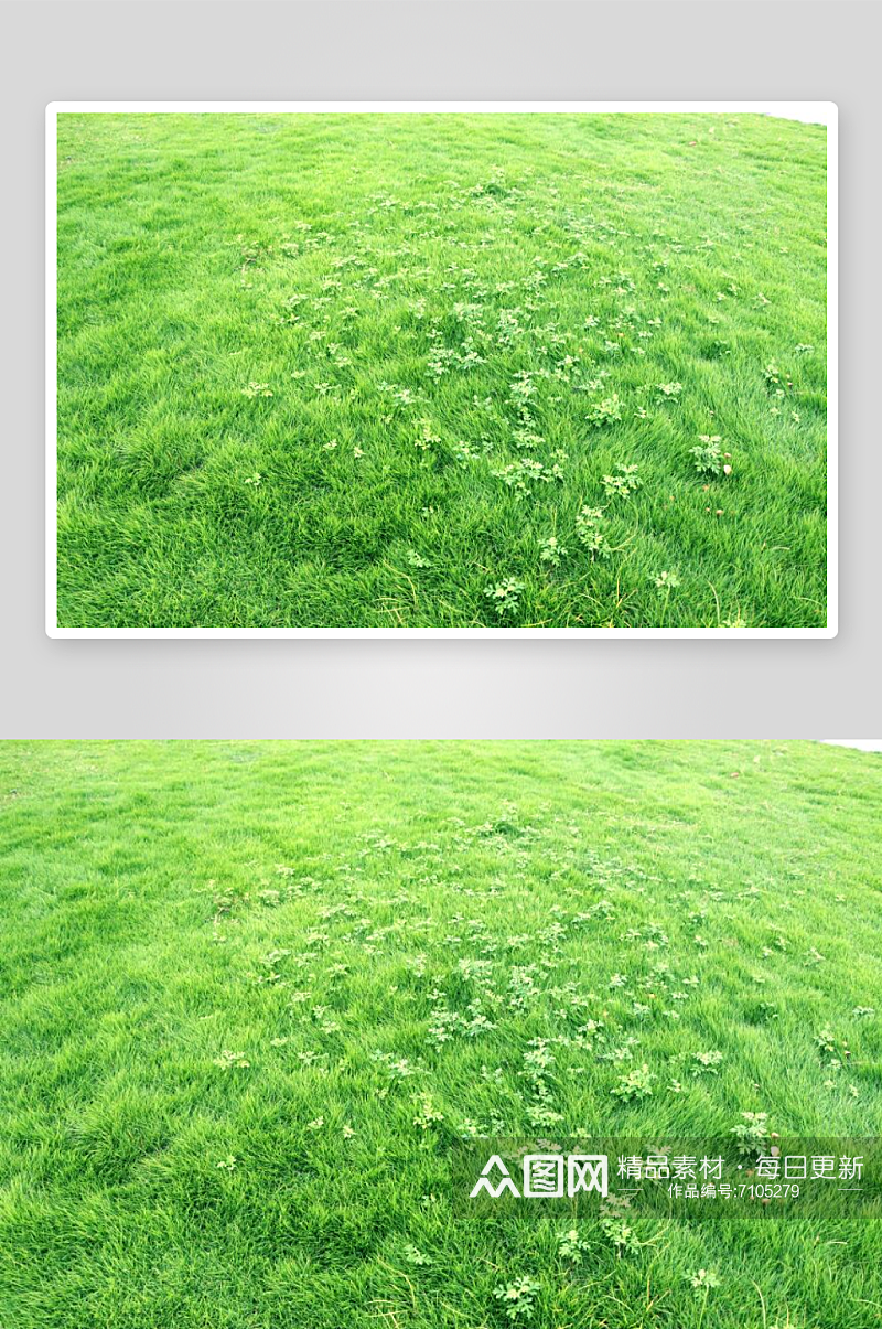 绿色草地背景高清摄影素材素材