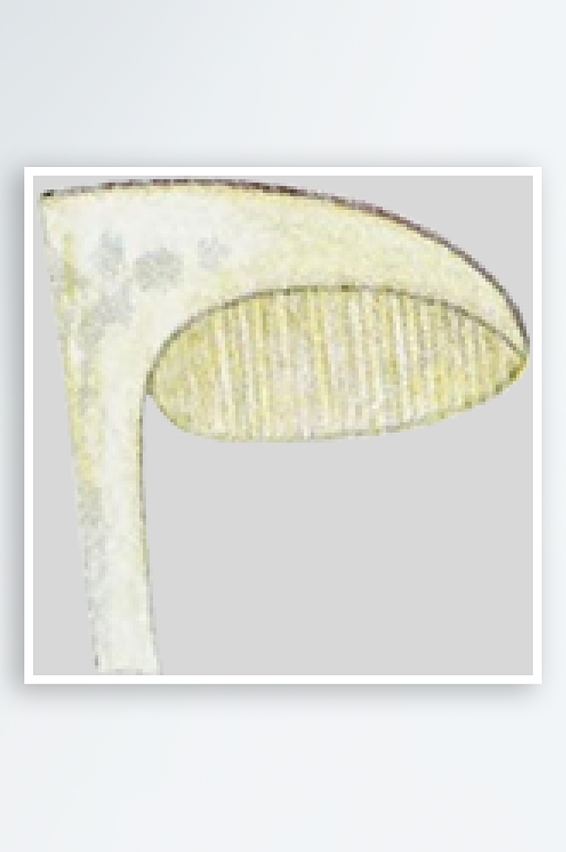 手绘水彩蘑菇设计素材元素素材