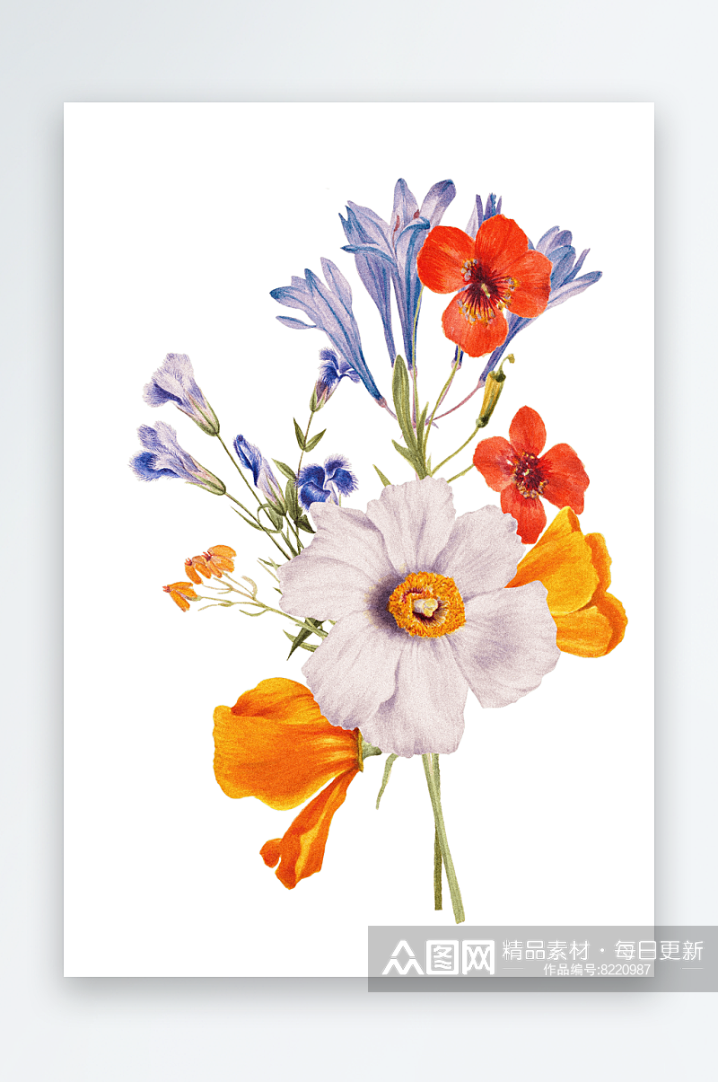 手绘花朵花卉设计素材素材