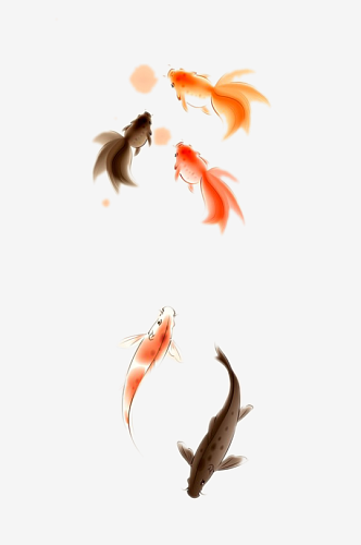 金鱼鲤鱼插图中国风水墨画手绘艺术小鱼