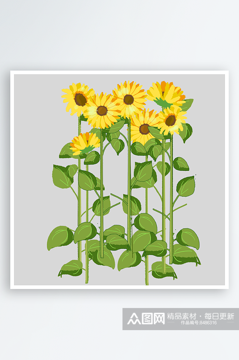 可爱卡通手绘向日葵太阳花花朵花卉设计素材素材