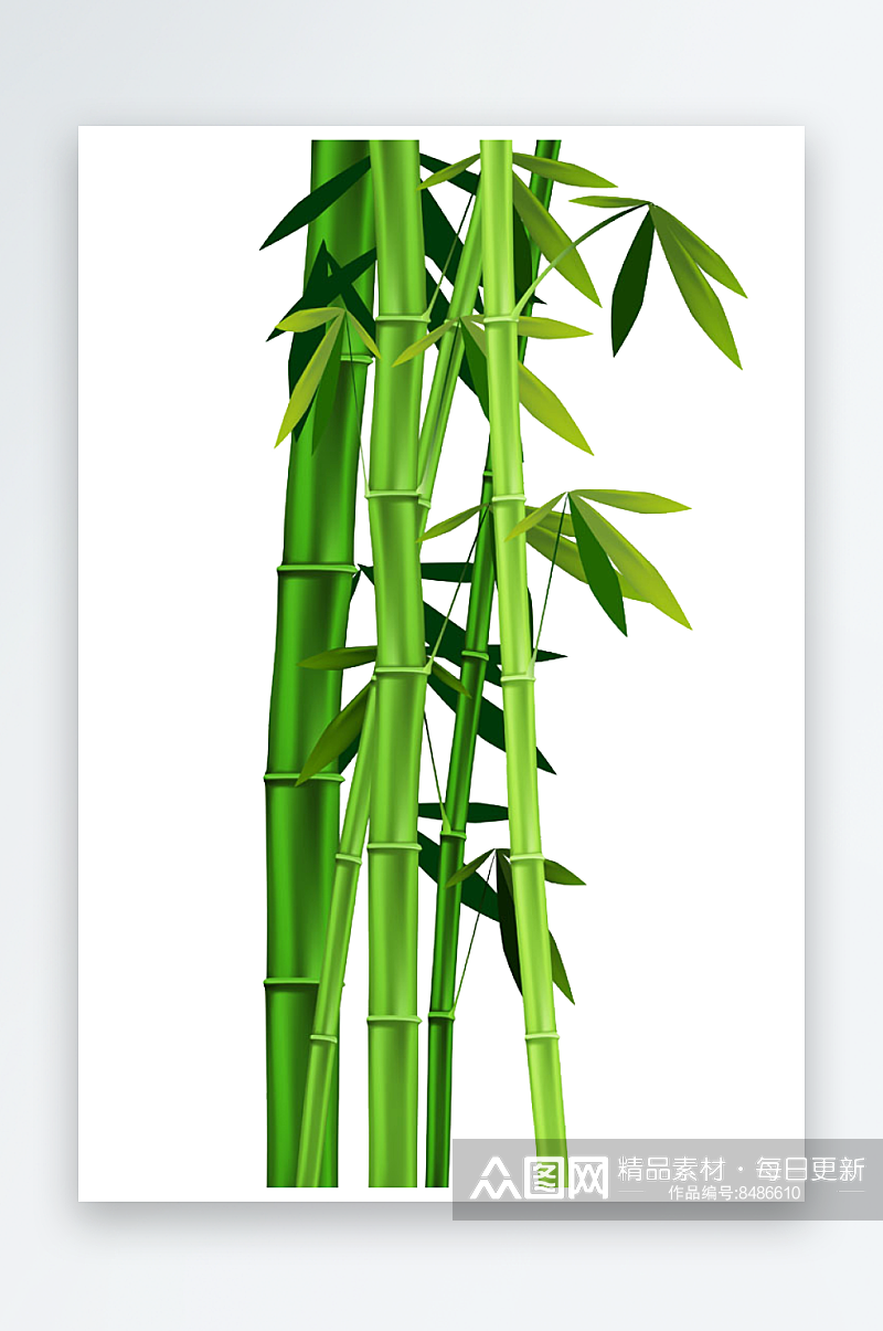 中国风卡通手绘绿色竹子水墨竹叶PNG元素素材
