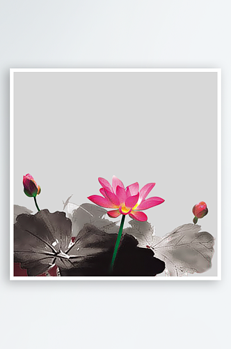 中国风水墨荷花莲花插图清新手绘荷花素材