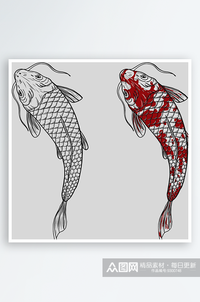 中国风手绘锦鲤鱼插画免抠PNG装饰设计素材