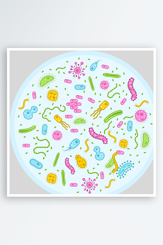 生物病毒微生物细菌病菌流感杆菌细泡组织