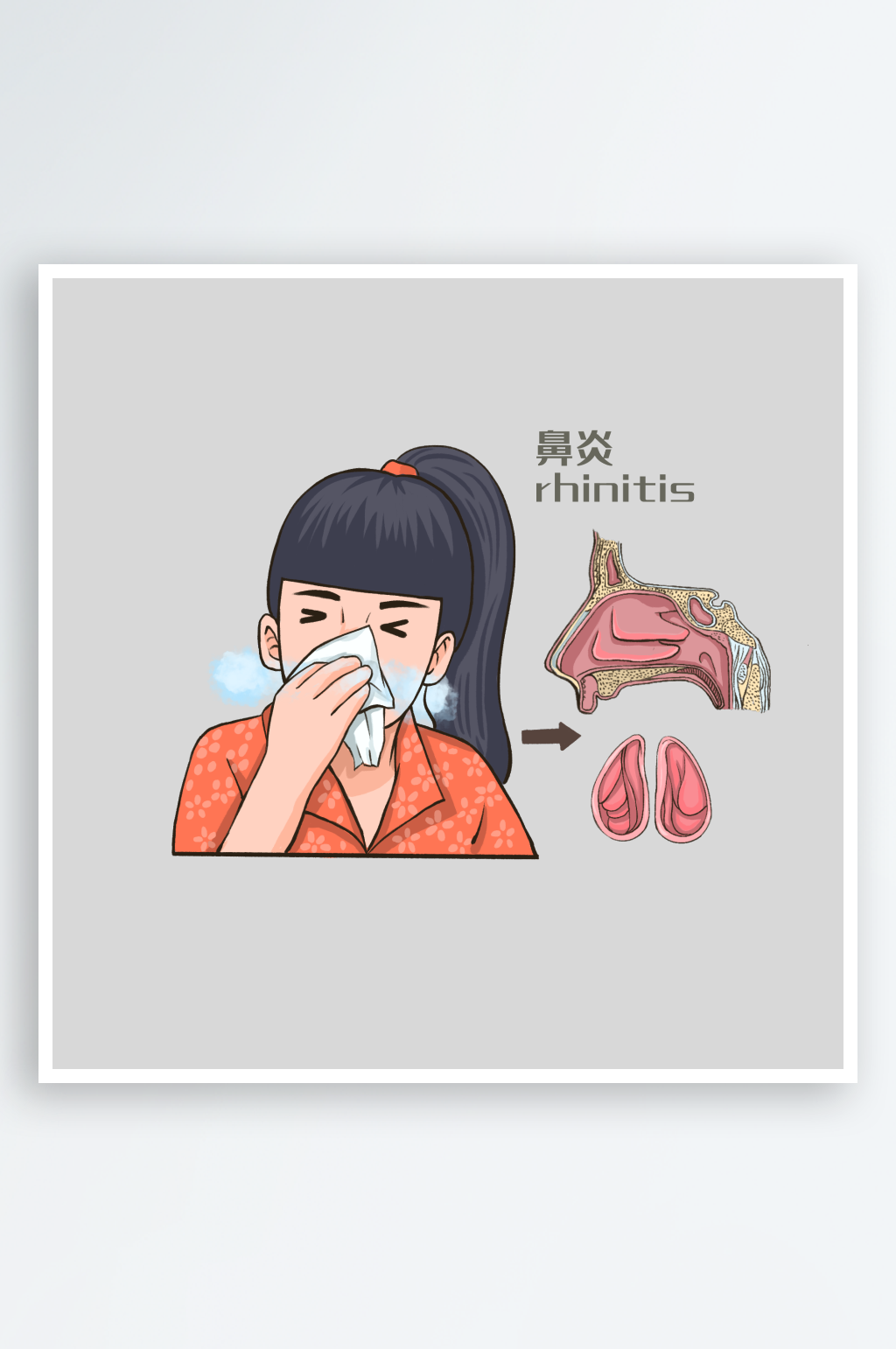 手绘医学人体器官肾脏肝脏心脏内脏素材