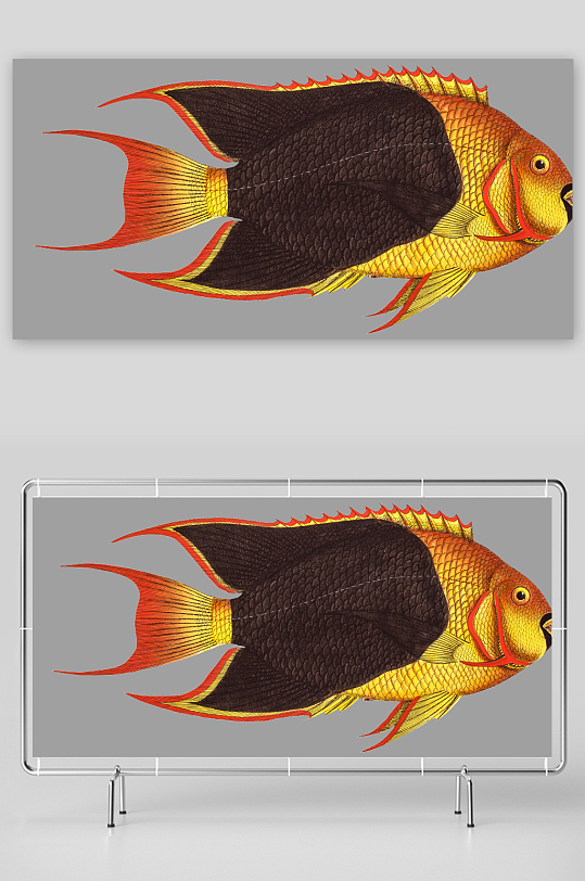 复古手绘海洋鱼类海鲜海鱼手账贴纸插图素材