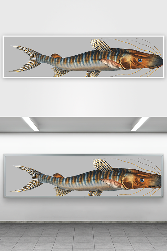 复古手绘海洋鱼类海鲜海鱼手账贴纸插图