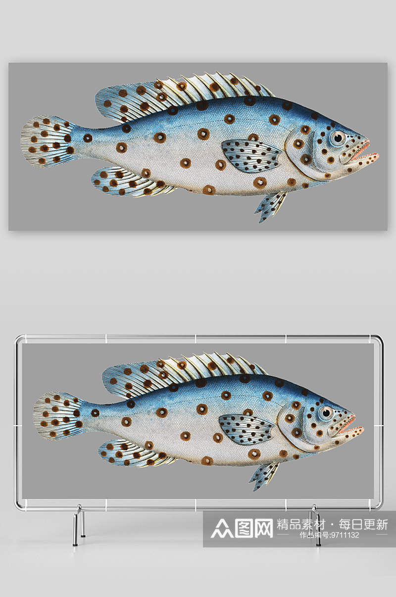 复古手绘海洋鱼类海鲜海鱼手账贴纸插图素材素材