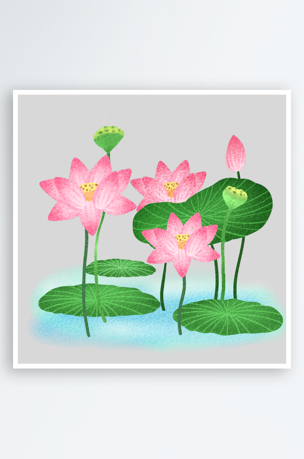 池塘莲子莲藕荷花莲蓬插画PNG免抠素材