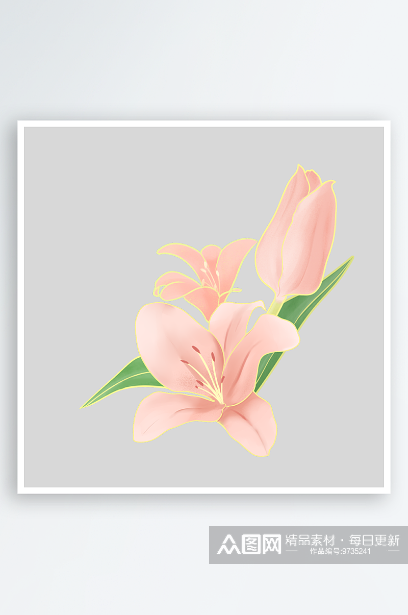 卡通手绘郁金香花朵花卉背景PNG免抠素材素材