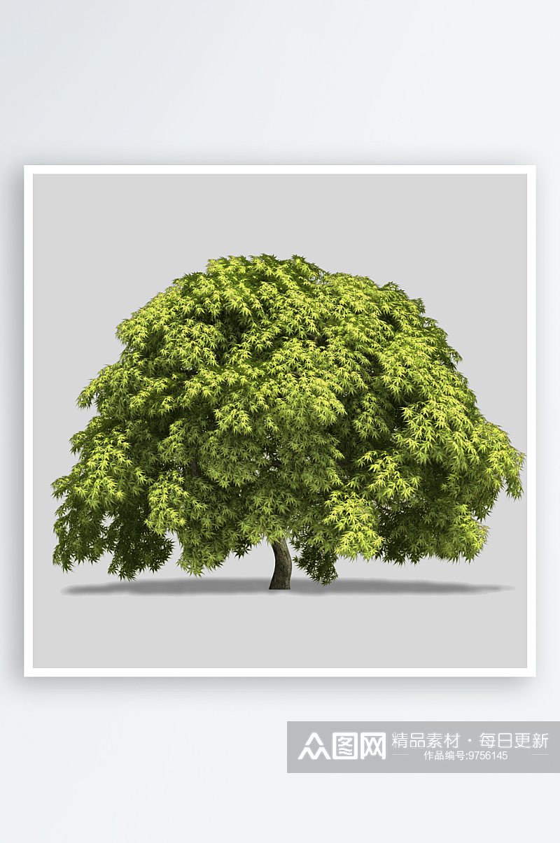 多种树木绿植绿化树插图PNG免抠素材素材