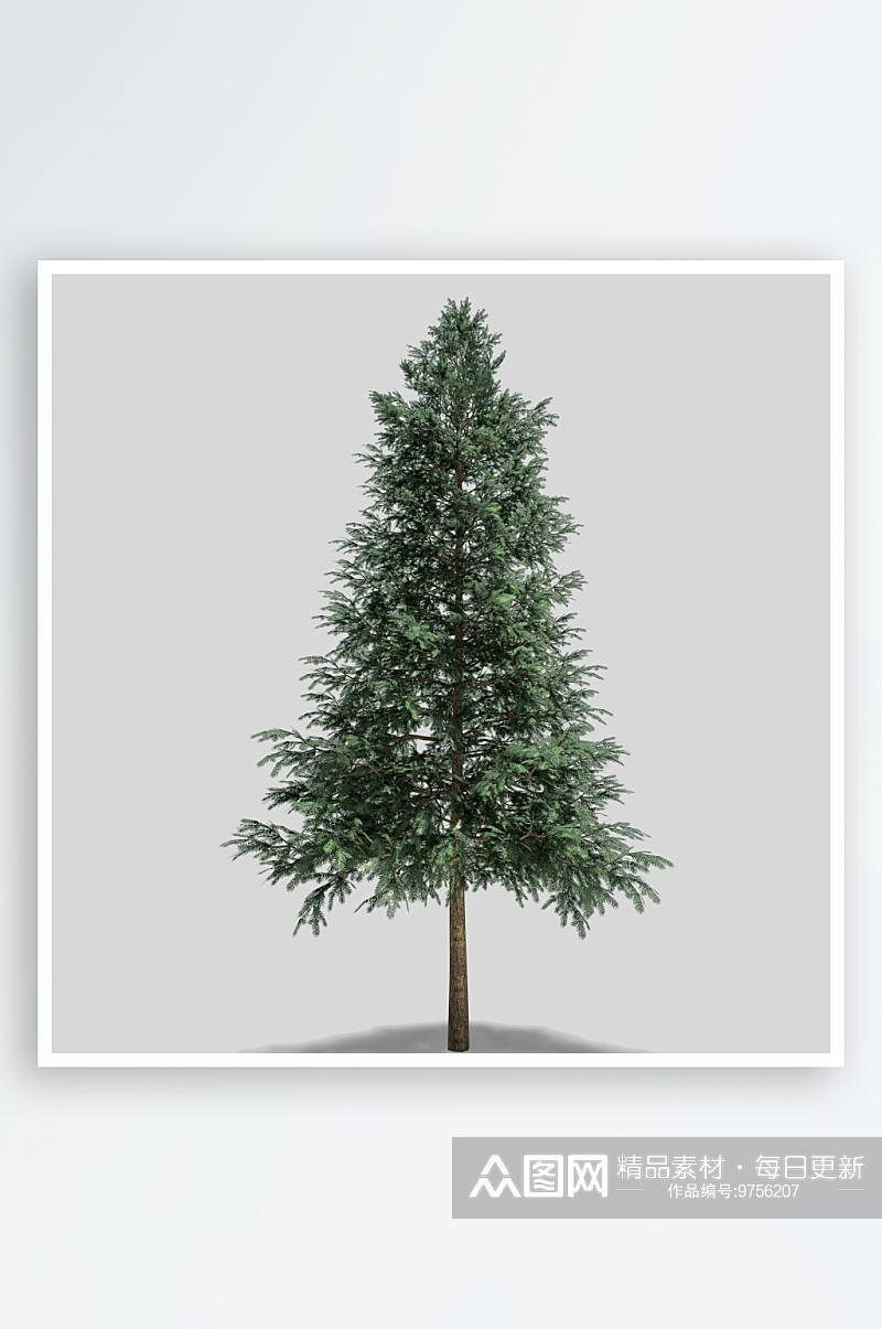 多种树木绿植绿化树插图PNG免抠素材素材