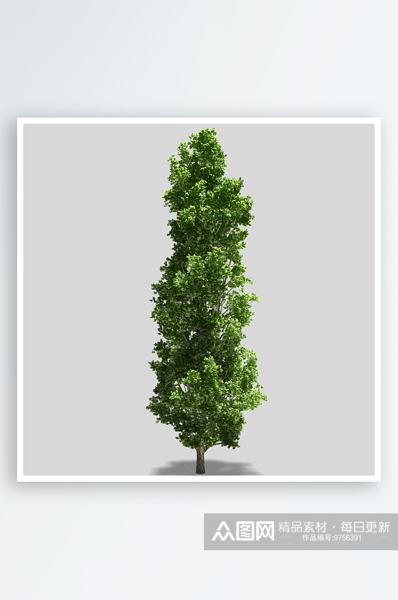 多种树木绿植绿化树插图PNG免抠素材