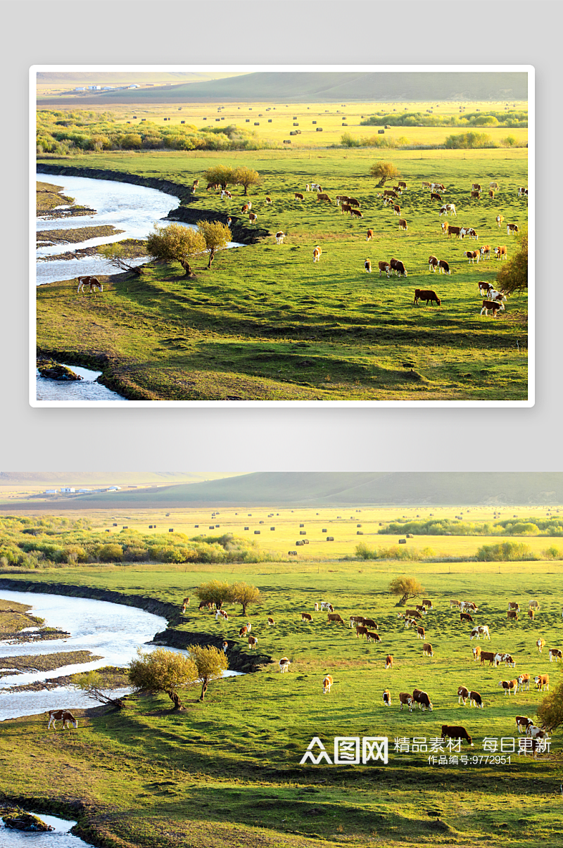 内蒙古大草原天然牧场素材