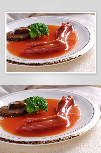 鲍汁鹅掌餐饮菜谱菜品高清图片素材