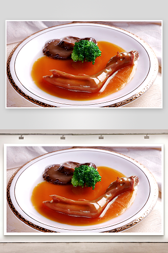 燕鲍翅鲍汁鹅掌餐饮菜谱菜品高清图片素材