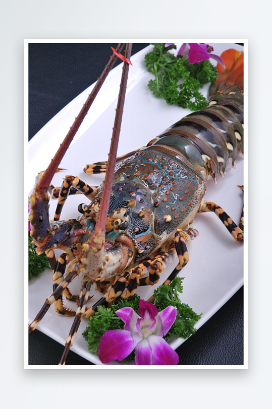 深海龙虾刺身餐饮菜谱菜品高清图片素材
