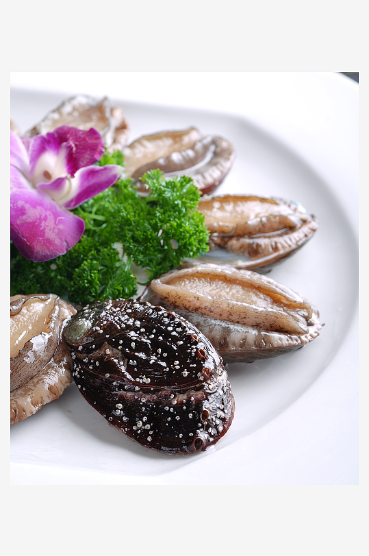 海鲜鲍鱼仔餐饮菜谱菜品高清图片素材