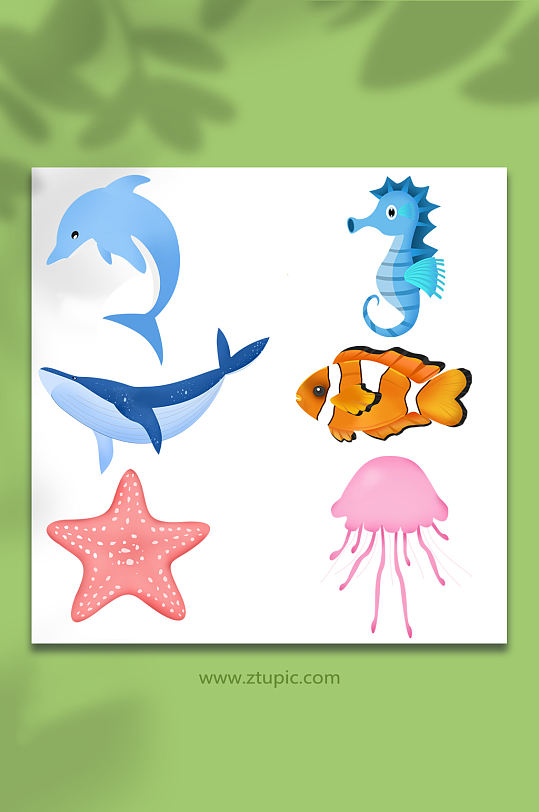 鲸鱼海马海星卡通海洋海底动物元素插画