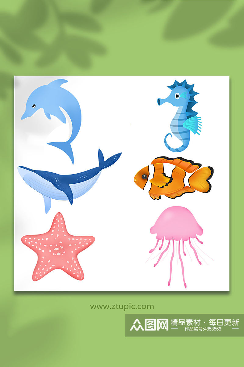 鲸鱼海马海星卡通海洋海底动物元素插画素材