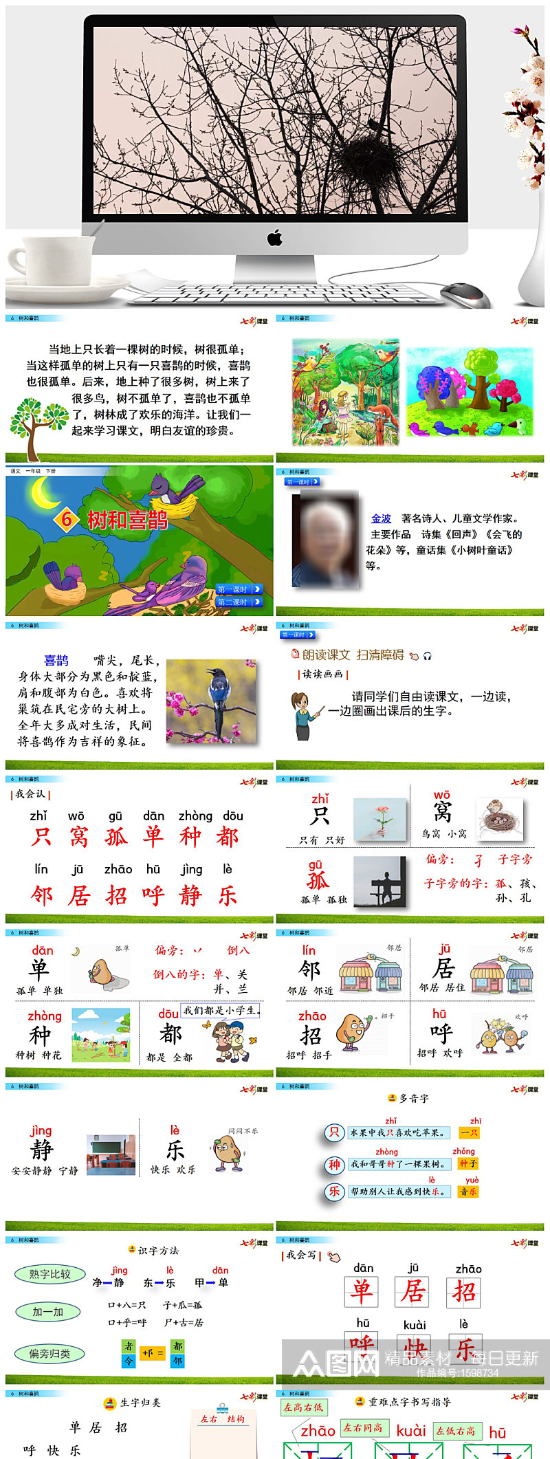 6 树和喜鹊教学课件ppt素材