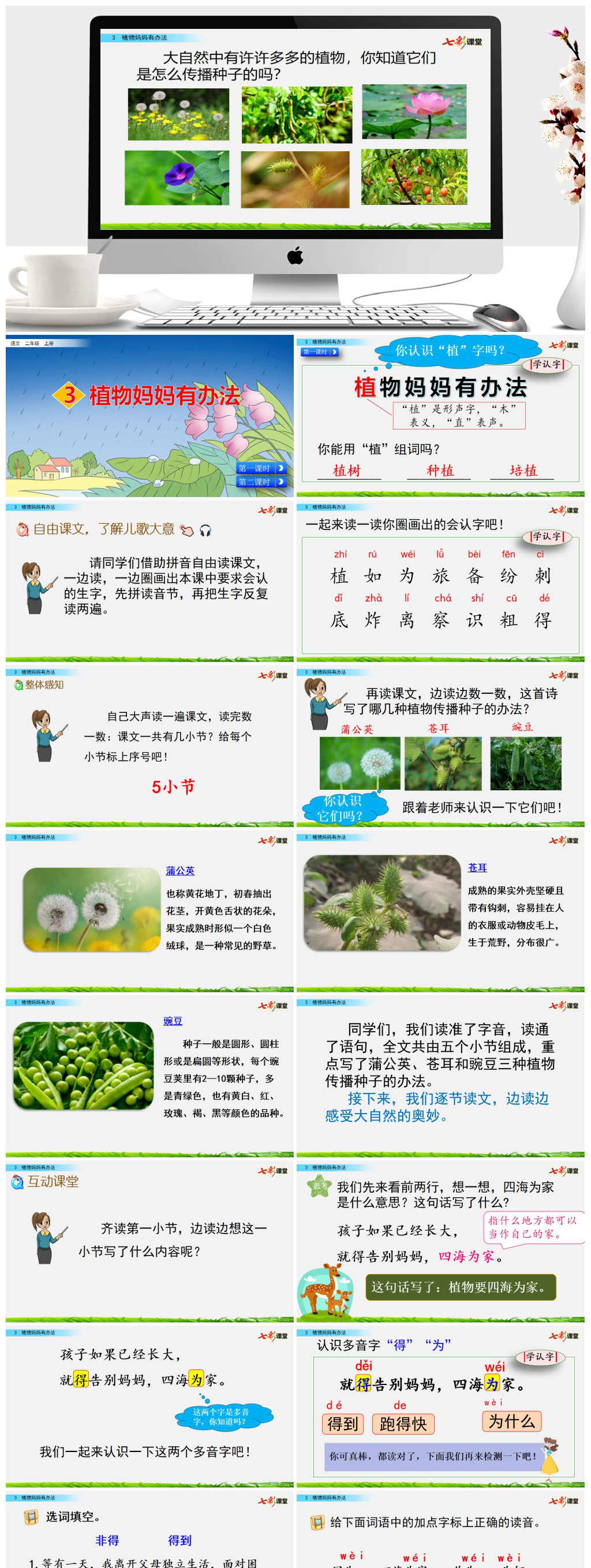 3 植物妈妈有办法ppt素材
