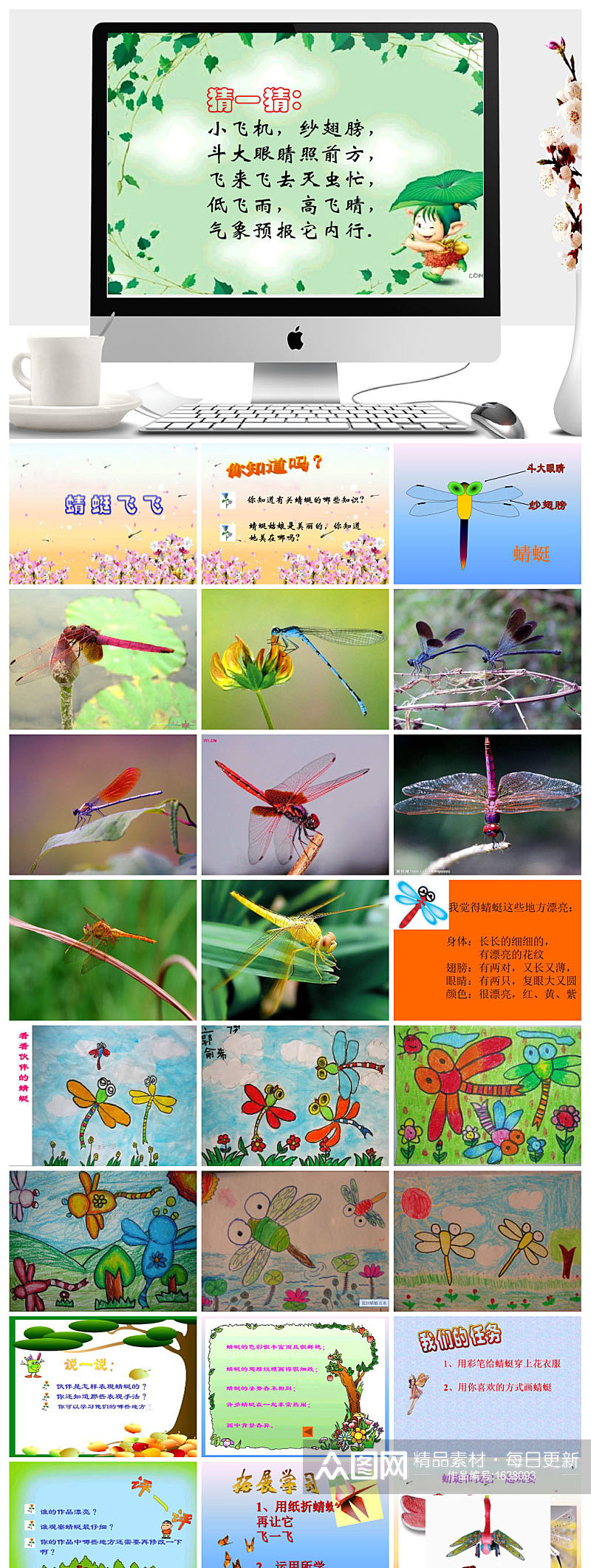 蜻蜓飞飞 美术ppt课件素材