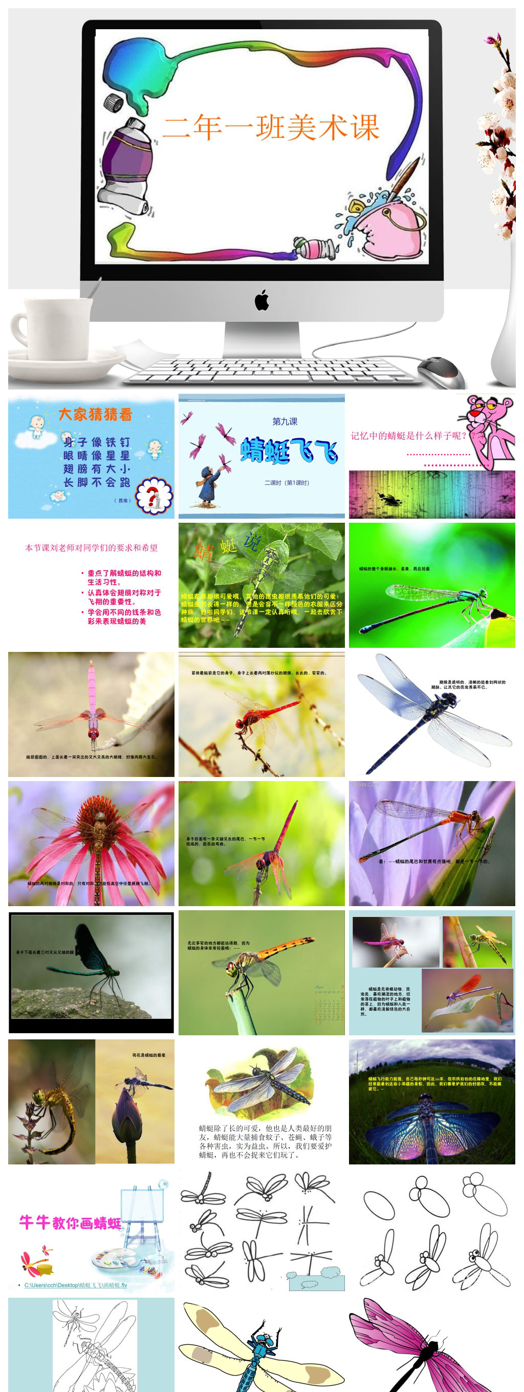 蜻蜓飞飞美术课件图片