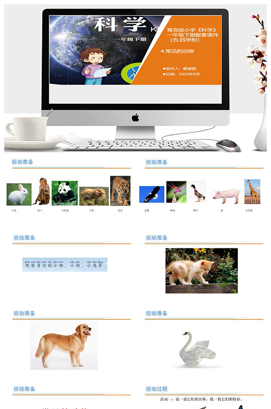 常见的动物教学ppt课件