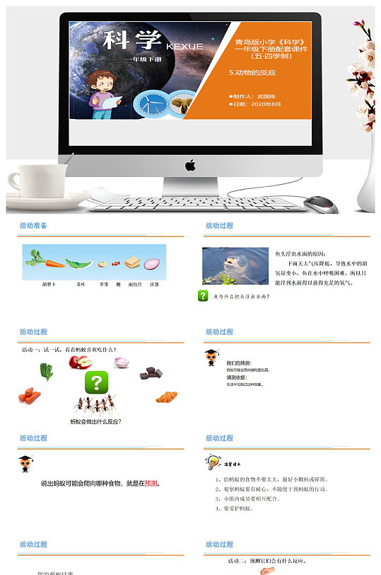 动物的反应教学ppt课件