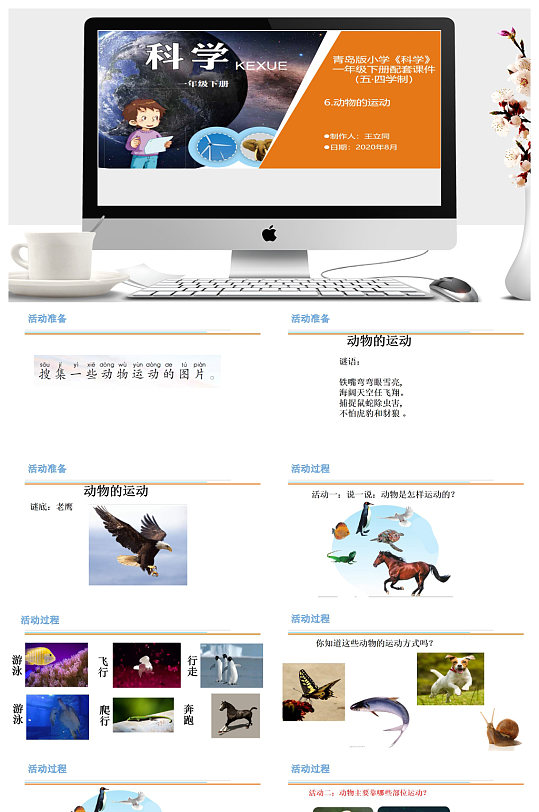 动物的运动教学ppt课件