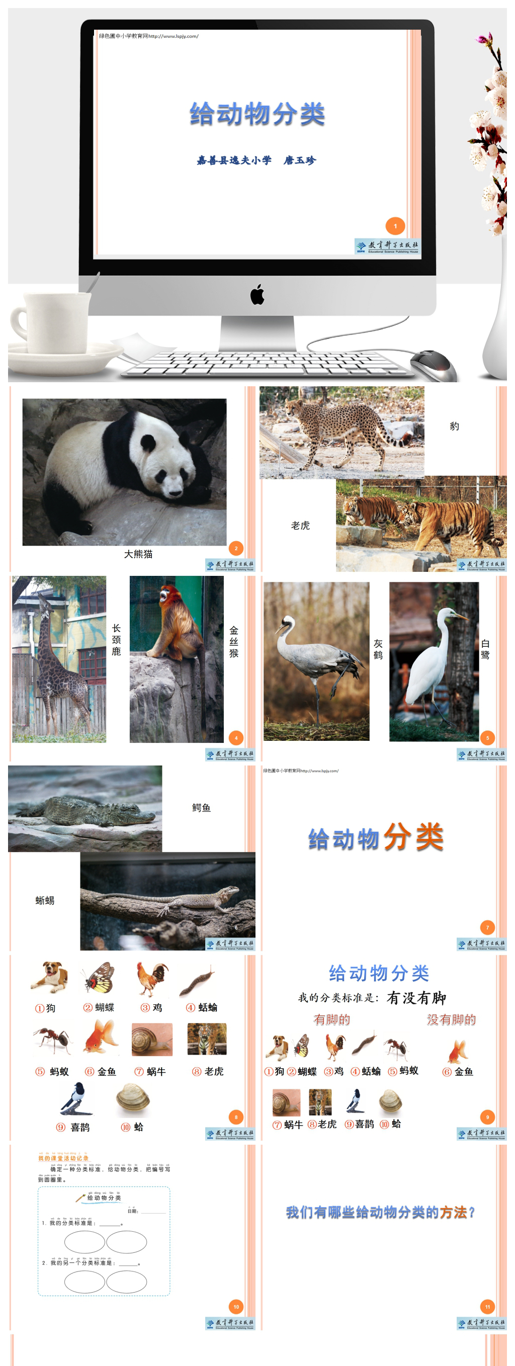 给动物分类教学ppt课件素材