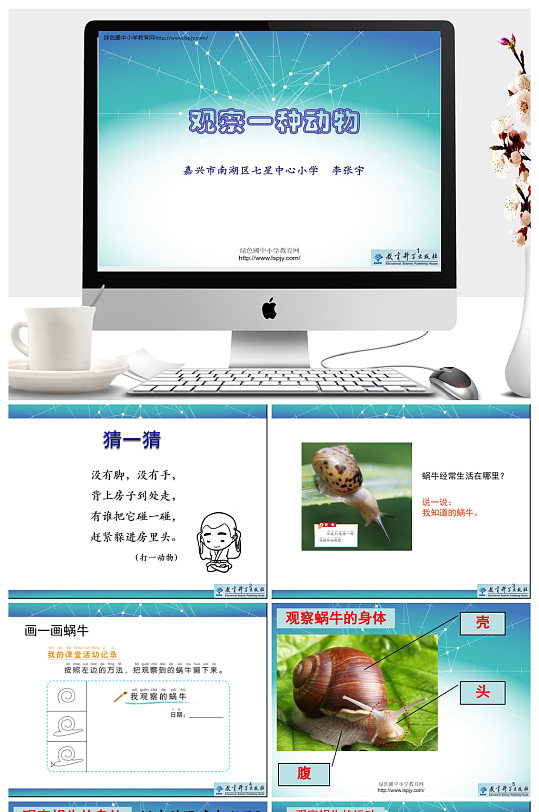 观察一种动物教学ppt课件