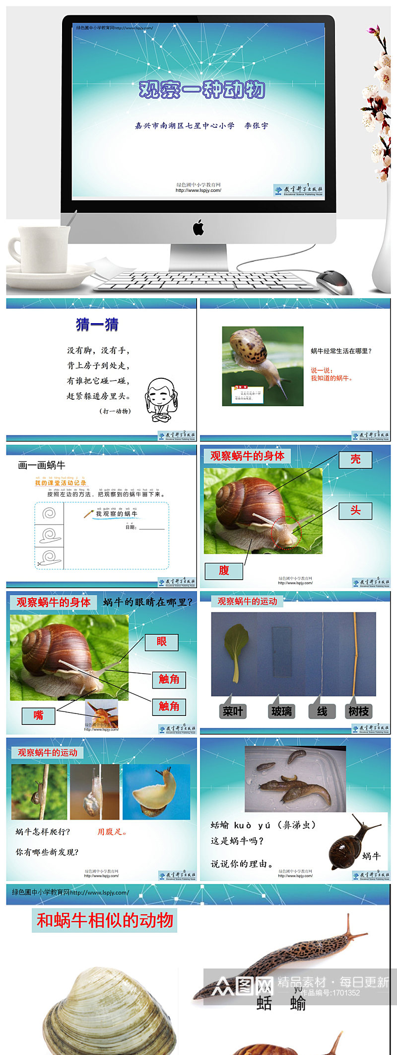 观察一种动物教学ppt课件素材