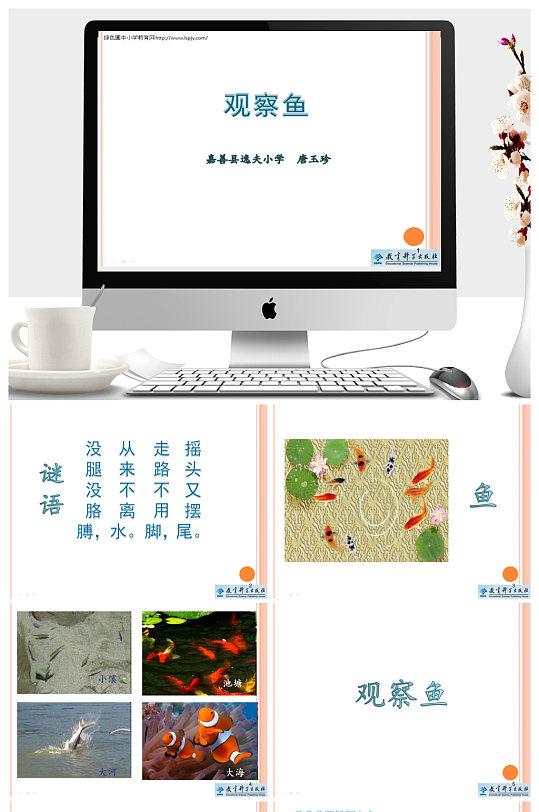 观察鱼教学ppt课件