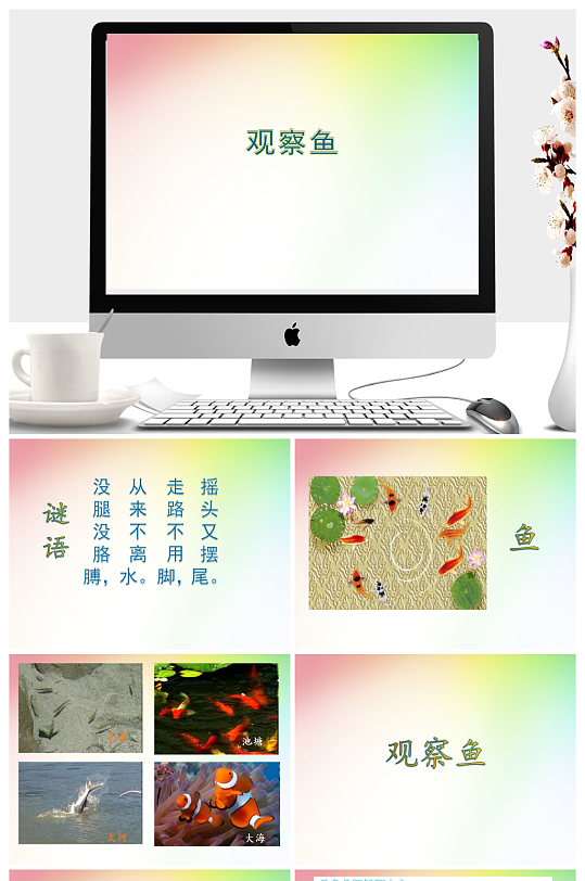 观察鱼同步ppt课件