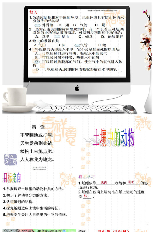 土壤中的动物ppt课件