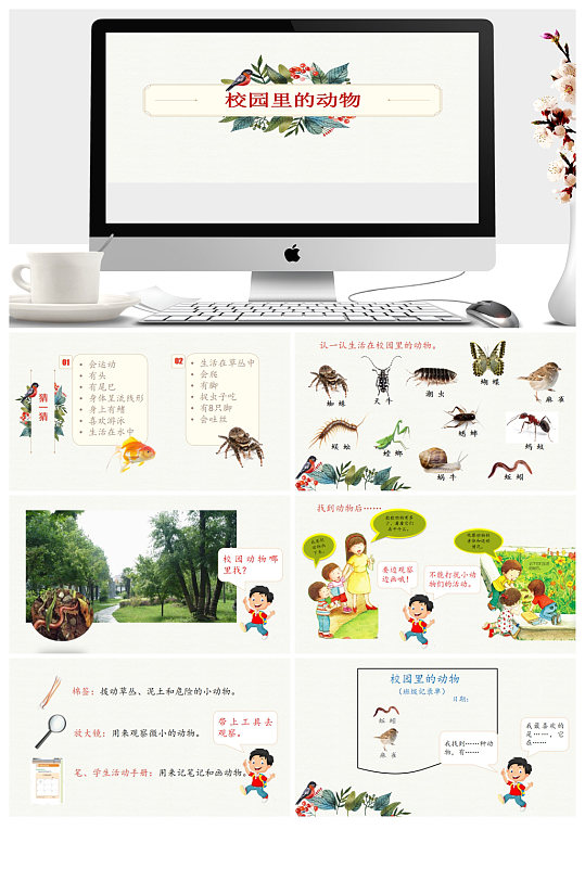 校园里的动物同步ppt课件