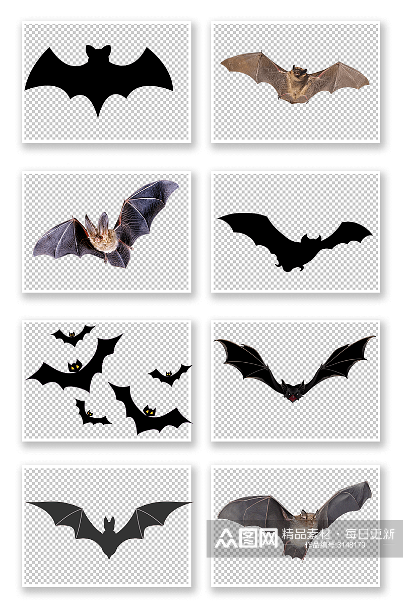 蝙蝠png图片元素素材