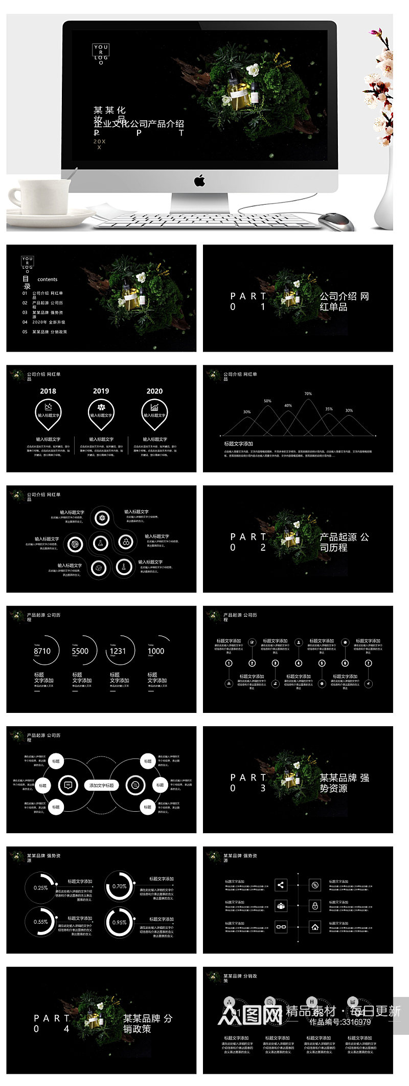 XX企业文化公司产品介绍PPT素材