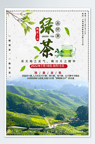绿茶促销海报模板