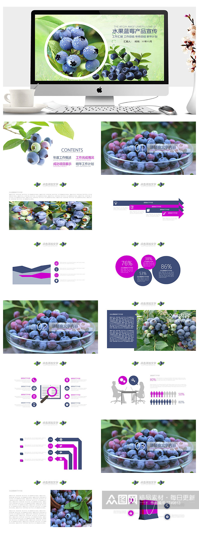 水果蓝莓产品宣传工作汇报PPT素材