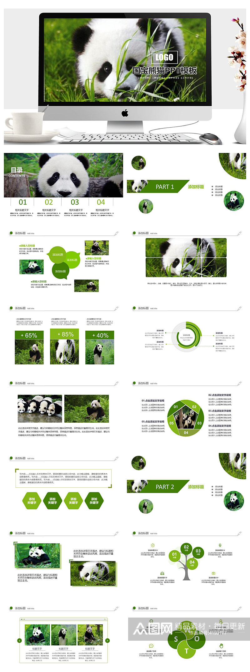 保护动物活动总结国宝熊猫主题PPT素材