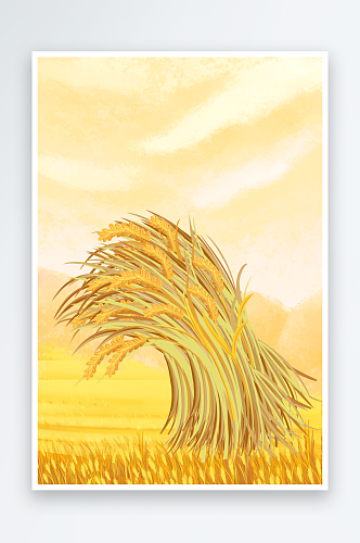 写实秋季小麦成熟丰收场景插画