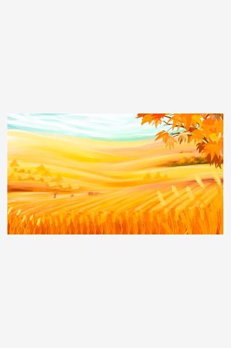 秋日金色的麦田风景